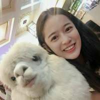 我在回忆里等你 后来我们都很好，没有