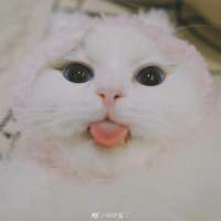 “再喜欢也不要旧情复燃，旧情复燃的结果就... 失望是不可避免的，但