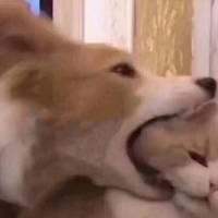 我不要五五之数，我要必胜无疑 没有你的世界是那么地
