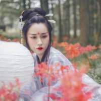 王喜猫 再转身，去欣赏别的风