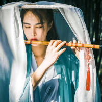 十里长街 我喜欢春天的花，夏天
