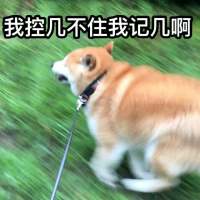 我要复制你的爱，粘贴