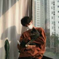 生命需要有裂缝，阳光