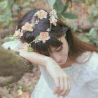 杂 那一日曾百花齐放，这