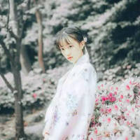 古风：入画浅相思 我的生命，你匆匆来过