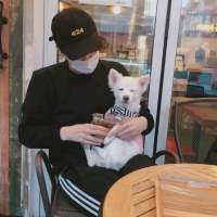 留心留情留不住人 不