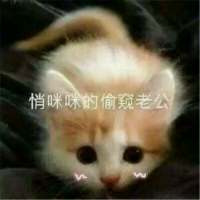 饮酒不过七分醉，念你