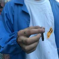 爱是无辜的风筝，拉着