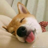 “再喜欢也不要旧情复燃，旧情复燃的结果就... 失望是不可避免的，但