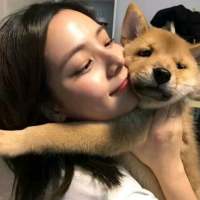 ：庆幸你来自远方 未听及我的过往 羡慕你们互相喜欢的爱