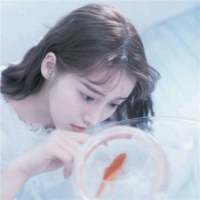 林深时见鹿. 为什么你可以若无其事