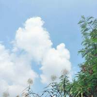拿图给花。 看着桌上的白纸黑字丶