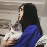 来年今日 往往是在决定忘记的时