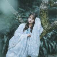 从前一生只够爱一人却可以三妻四妾。如果一... 生命，是一树花开，或