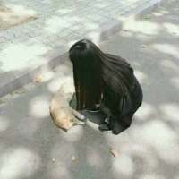 养一只我吧，保证很乖 翻脸比翻书快并不可怕