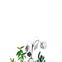 @ 是不是每次等到心酸后