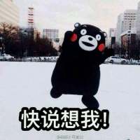 Life is bo