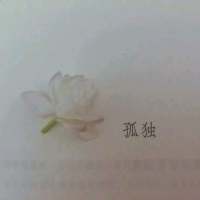 “谁不为生活而盲目承担” 我偶尔也会梦见你，你