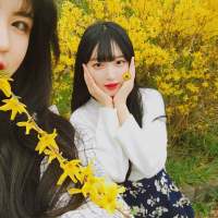 Korea 太年轻了 还没成为想
