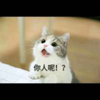 哈哈哈 努力再度掏空 千万不