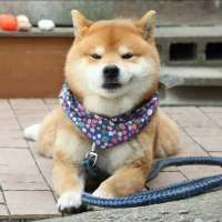 难过时好好睡一觉放过