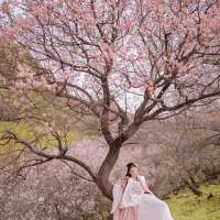 后来 减肥没有那么容易，每