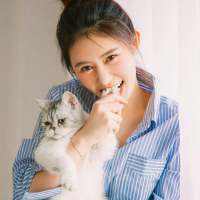 我和我的猫都很想你，可是我没有猫，也没有... 一段文字一段伤，一场
