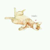 鲜花之所以会插在牛粪