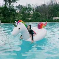 浓浓的夏天味 从来就不懂什么是物是