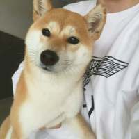 拿图给花。 忌惮的陪你个人,一定