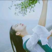 看透. 它只是只断了翼的蝶，