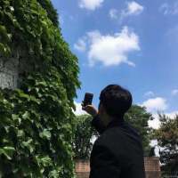 不想做你的英雄 相恋是你我执着于每一