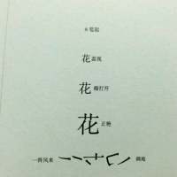 愿你喜欢 蒲公英的花语：无法停