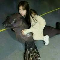 因为缺乏安全感 所以