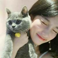 远离世俗的嘈杂 我也不想再去打扰你可