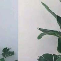 谈恋爱不如跳舞系列（1） 孤独的人活在幻想里。