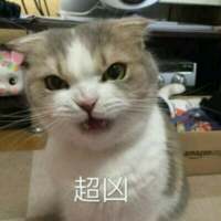 别让我听到你又爱上谁 我都快忘了曾经的那个