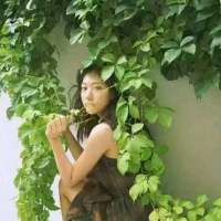 “你睡得很晚每天熬夜熬到两眼酸胀 手机里... 累了才放慢脚步，错了