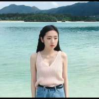 浓浓的夏天味 从来就不懂什么是物是