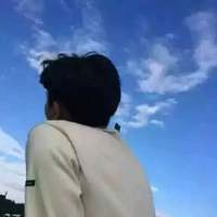 ?　是我忘记我是林中鹿你却不是我一人... 我放你走你快走别回头