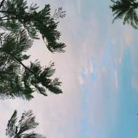 青冢 当初那个什么都不图就