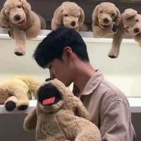 输密码时，明明知道只
