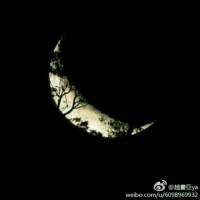 鱼喃陈安韩 如果你想我哭 凭恐吓