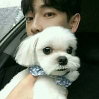 怜取眼前人 慢慢的忍受着你给的伤