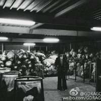 志龙阿 我会告诉你，即使分了