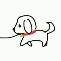 你不用多好.我喜欢就好 为了不让生活留下遗憾