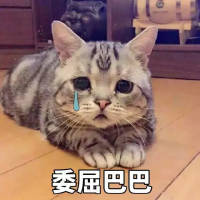 被人记着真好 她或许
