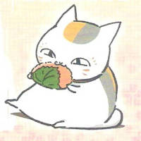 猫咪老师 不要总是做一些道德式