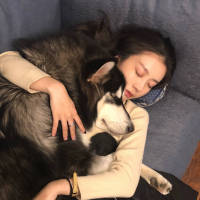 那就祝你万事胜意吧 喝二两酒 发半斤疯