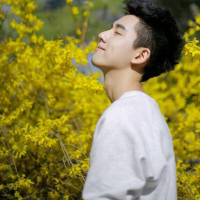 择 一个以为不会走，一个